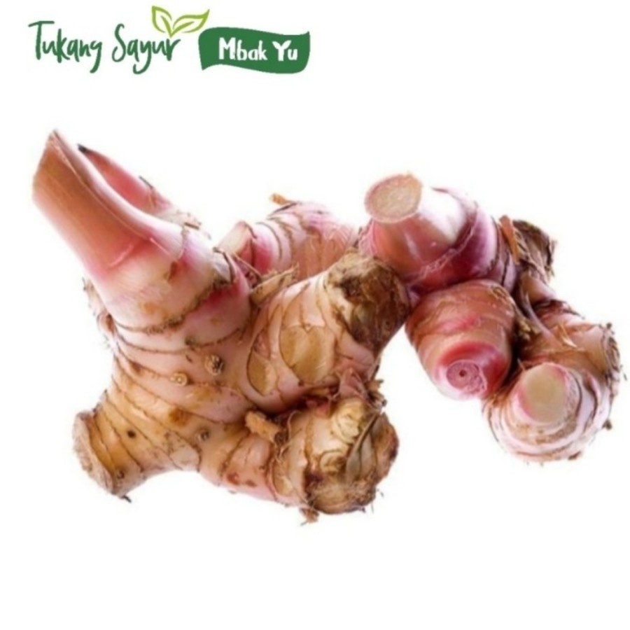 

Lengkuas segar 1kg