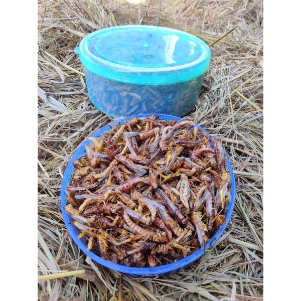 

BELALANG GORENG UTIS KRIUK COD