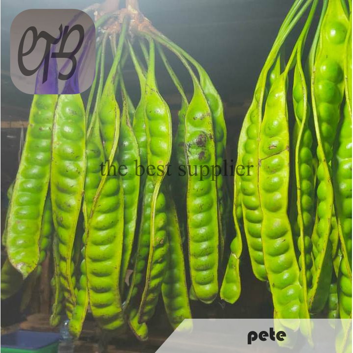 

Pete / Petai Segar