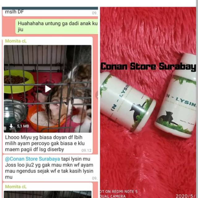 Paket Reseller N-Lysine 6 Botol N-Lysine
