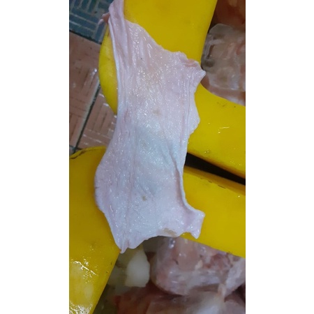 

Kulit ayam