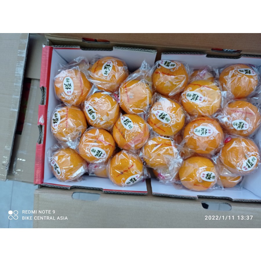 

GIFT BOX IMLEK - JERUK HONEY PONKAM TAIWAN PREMIUM 30-36