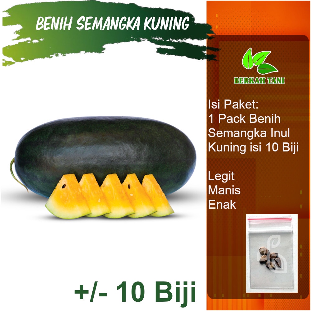 Benih Bibit Semangka Kuning Inul Pasti Manis