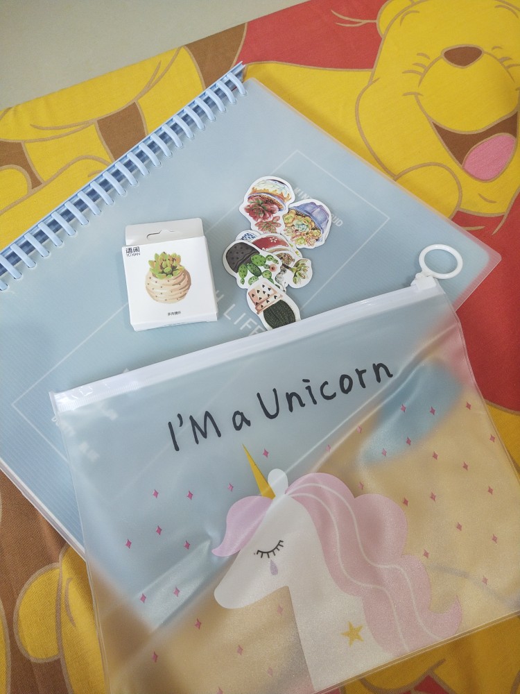 Pouch Pvc Transparan Gambar Unicorn Dinosaurus Kaktus
