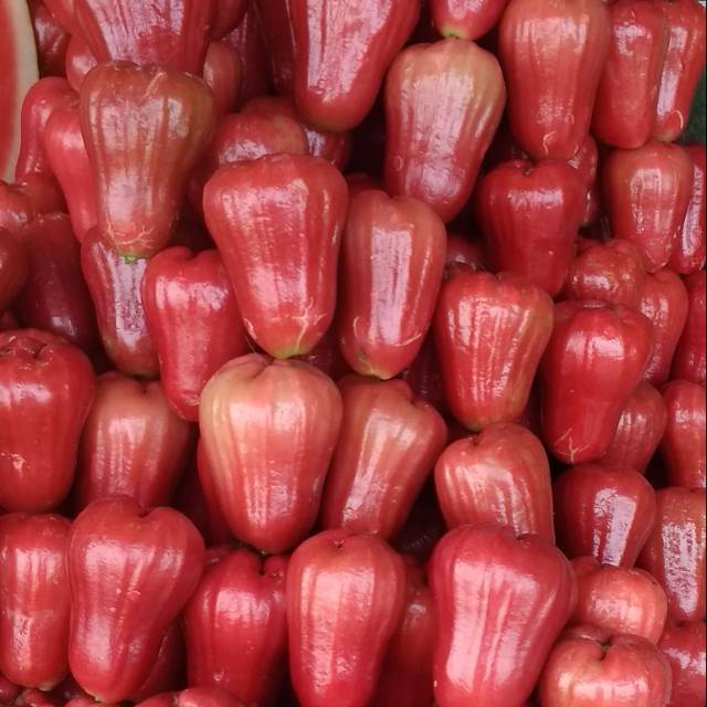 

Jambu air citra