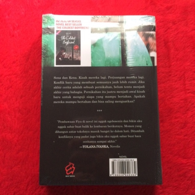 Novel If I Can T Itsfiyawn Shopee Indonesia