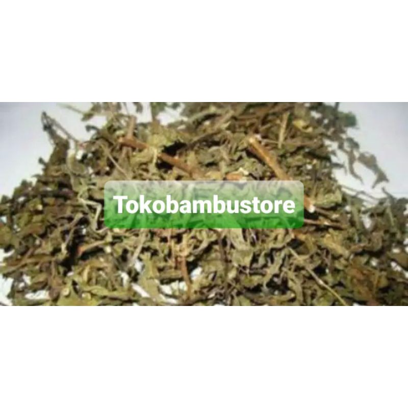 

Daun kumis kucing kering 500 gram natural-az