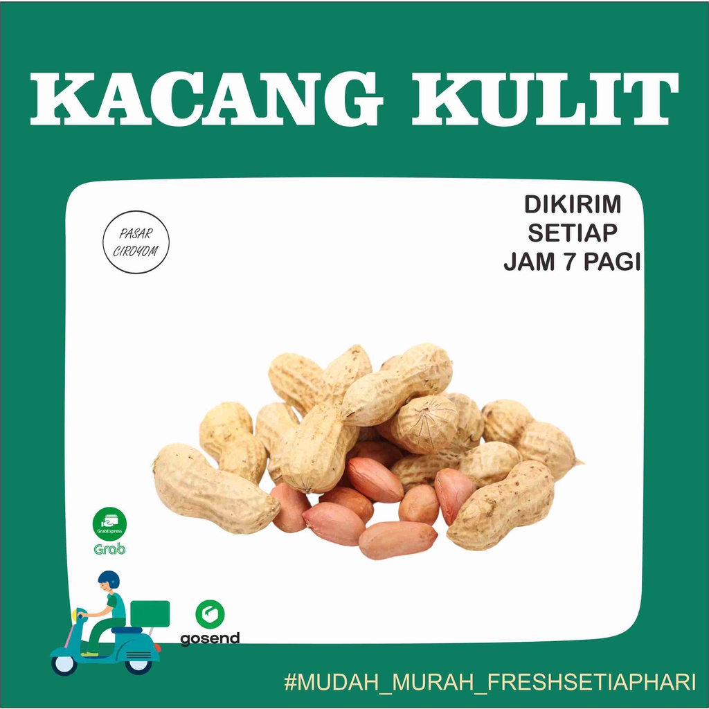 

KACANG KULIT MENTAH MURAH FRESH BANDUNG 500g