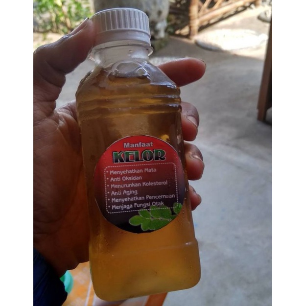 

Jamu Herbal Kelor Minuman kesehatan