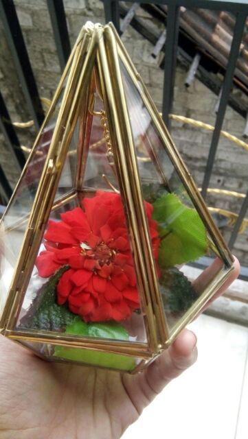 Terrarium Ringbox / Pengait Cincin