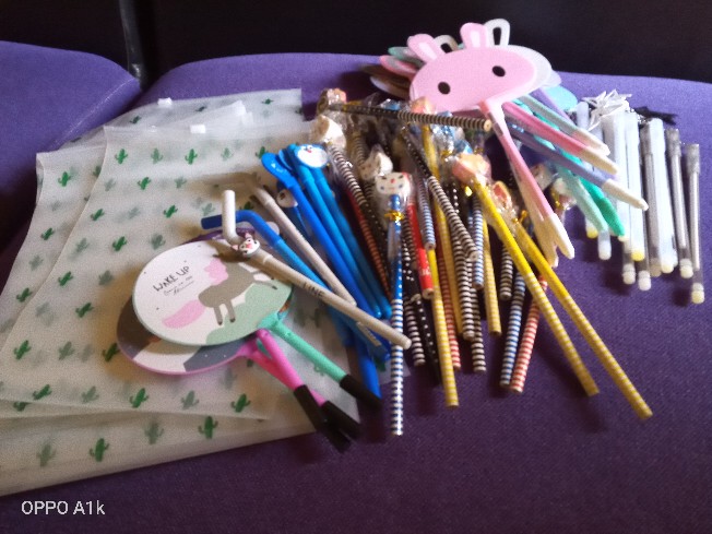 Batamgrosir.id | Kantong Storage Bag Ziplock Motif Kaktus Sedang Part 1