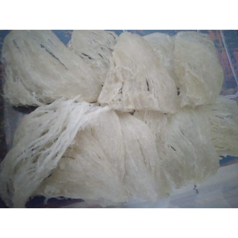 

Sarang Burung Walet Sudut