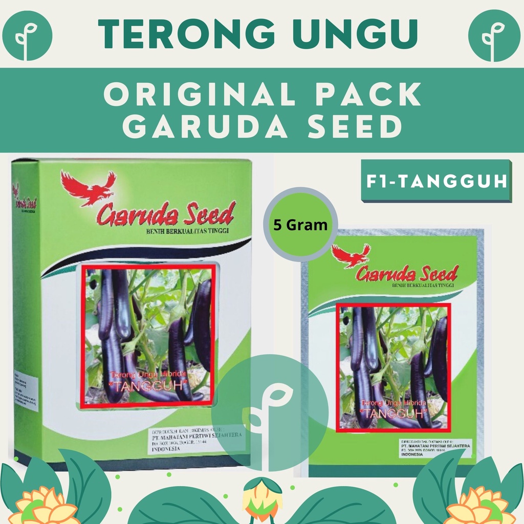 Jual Benih Official Store Bibit Terong Ungu Hibrida F Tangguh Gram