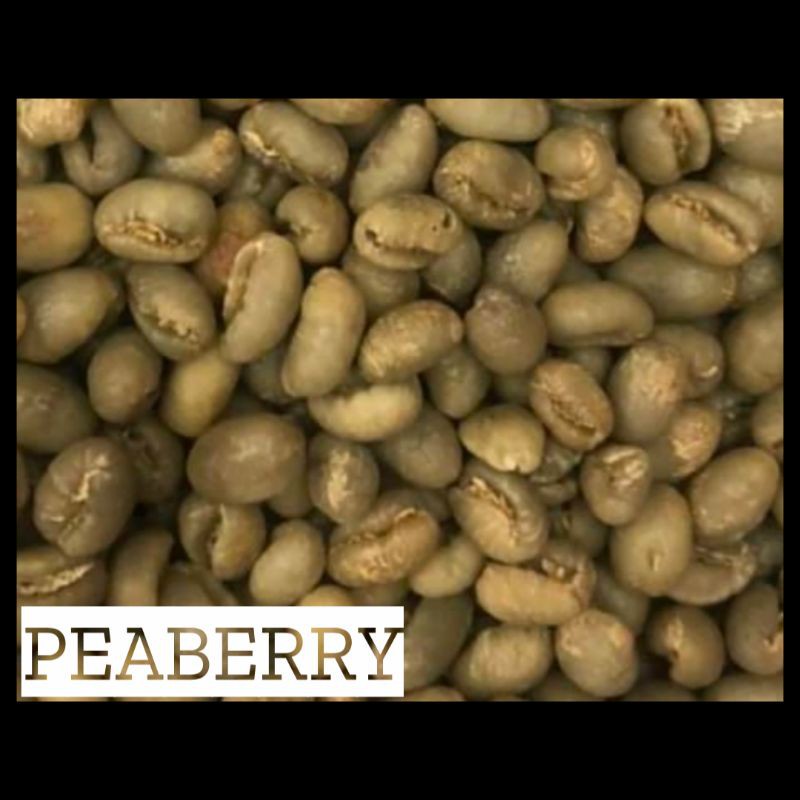 

Arabika mandheling 100% Asli