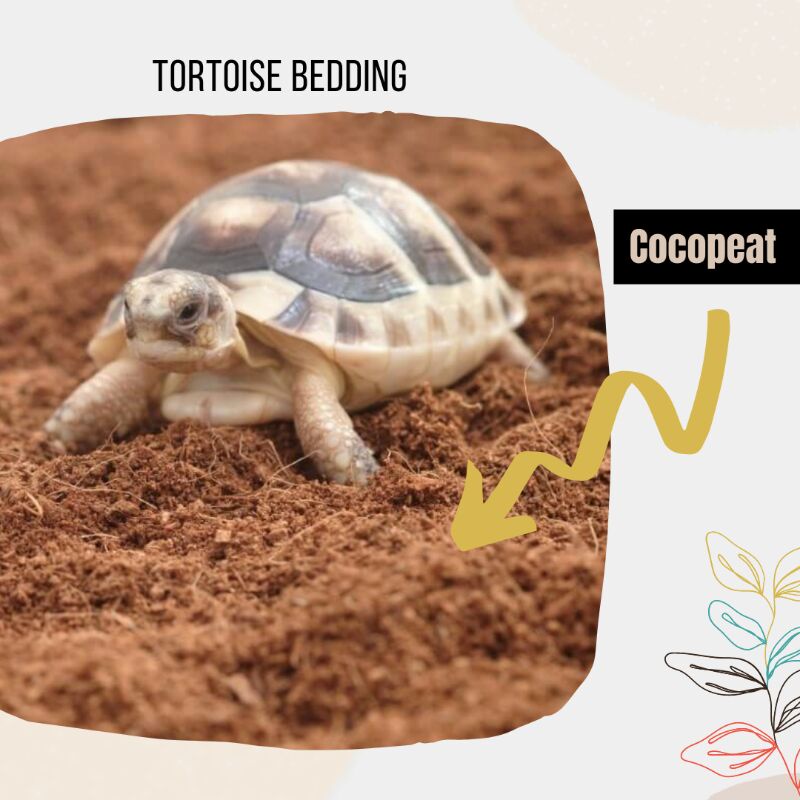 Cocopeat STERIL Hamster dan Torto 250 gr  || Nature vibes Rumah Hewan - Alas kandang /Litter Toilet/ bedding cocopeat-1
