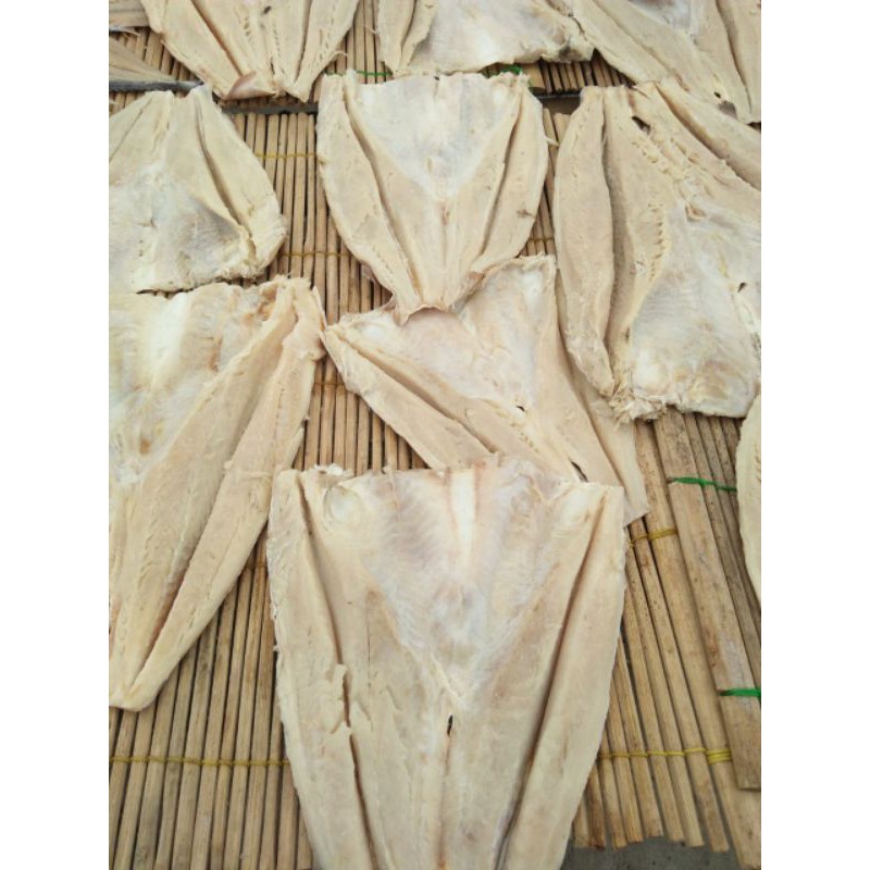 

IKAN ASIN JAMBAL ROTI TERMURAH