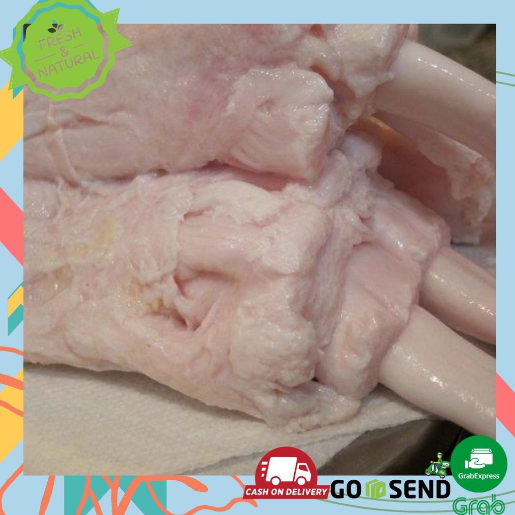 OTOT SAPI SEGAR FRESH