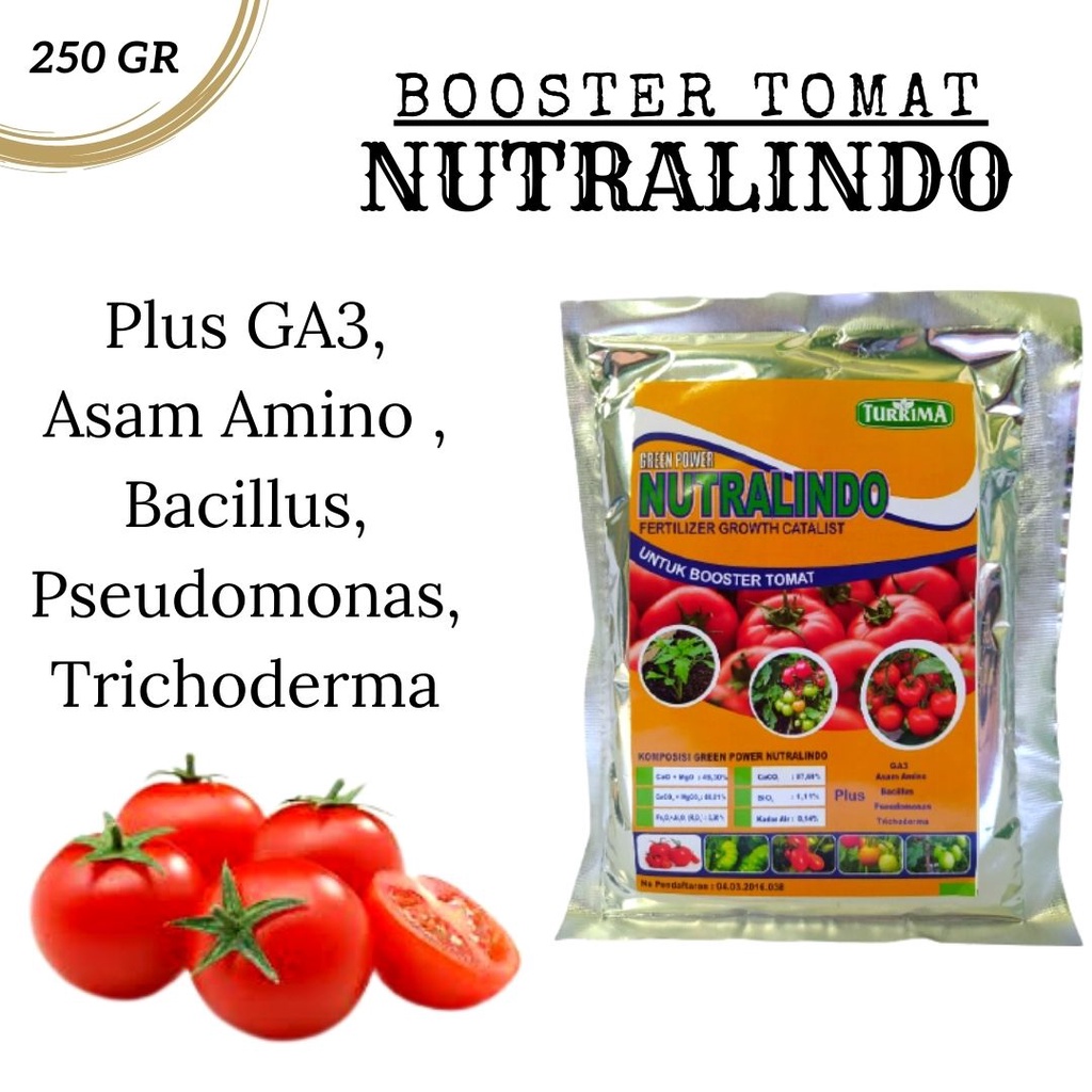 Pupuk Dasar Untuk Tanaman Tomat, Pupuk Pembesar Buah Tomat