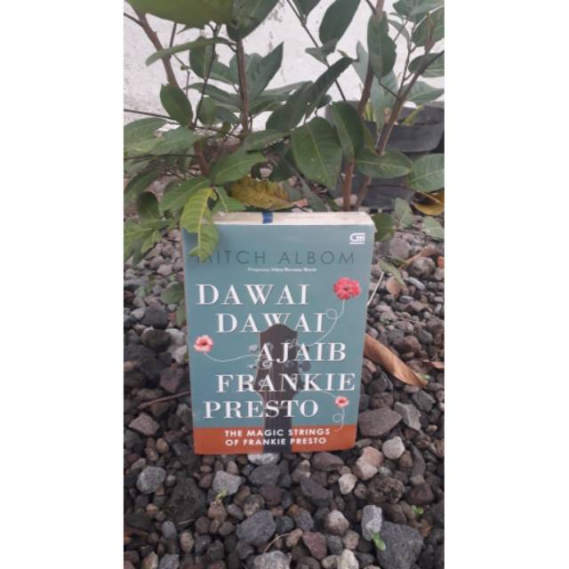 novel mitch albom dawai dawai ajaib frankie presto