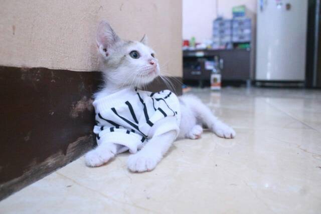 Kaos strip hitam putih lengan panjang / baju kucing murah size S M L XL