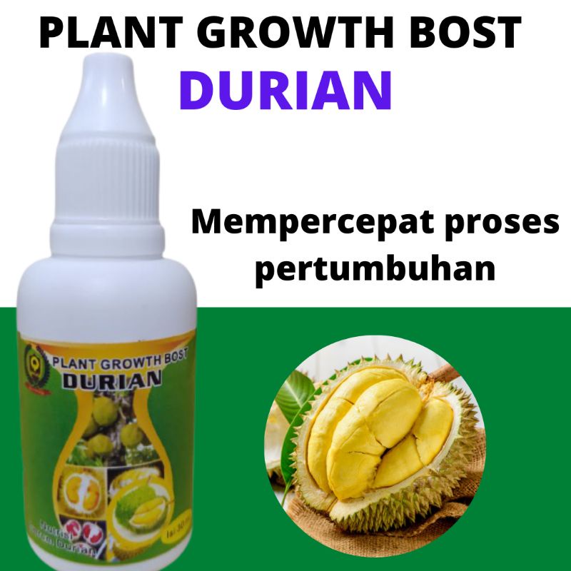 Hormon untuk Buah durian, pupuk perangsang durian berbuah