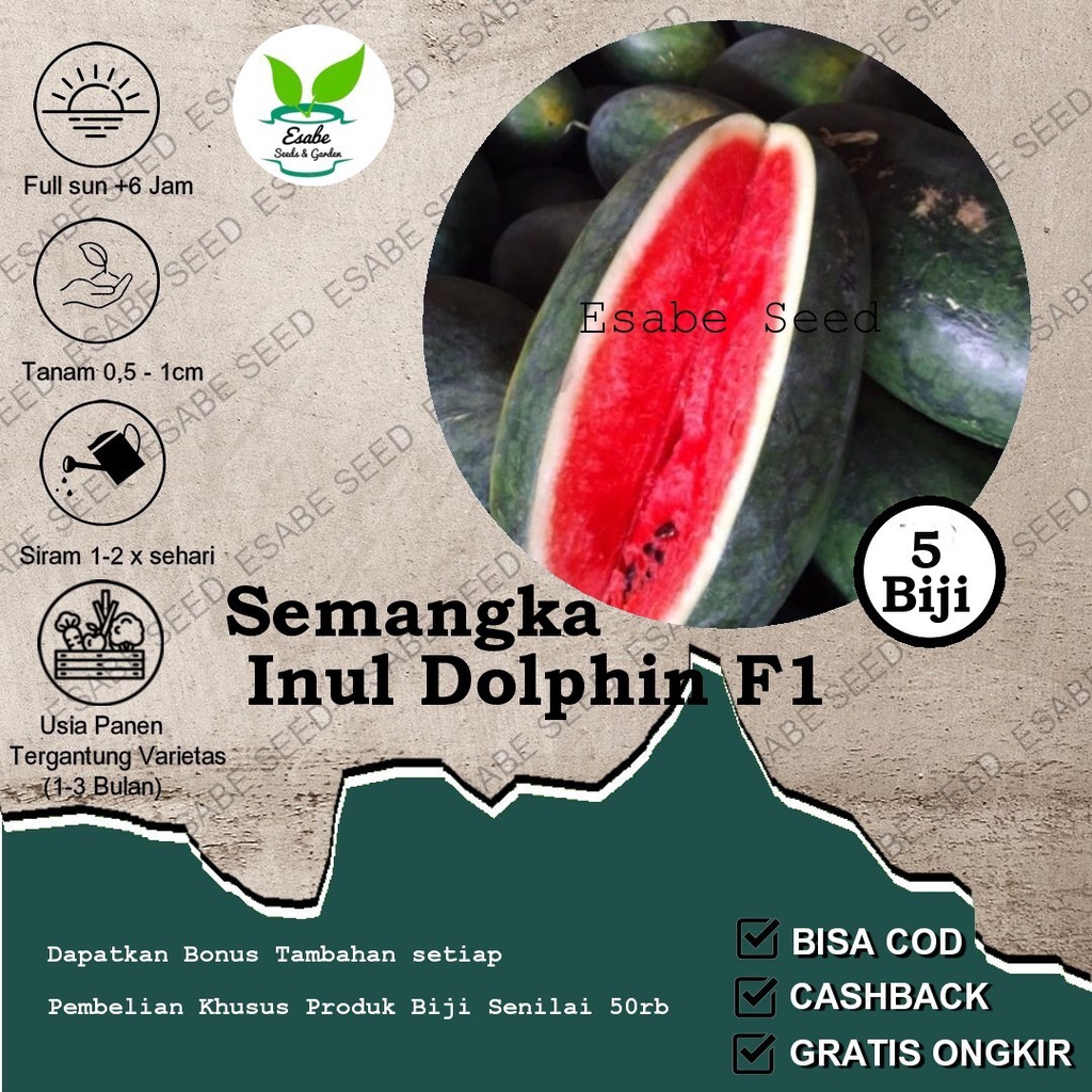 Benih Biji Semangka Inul