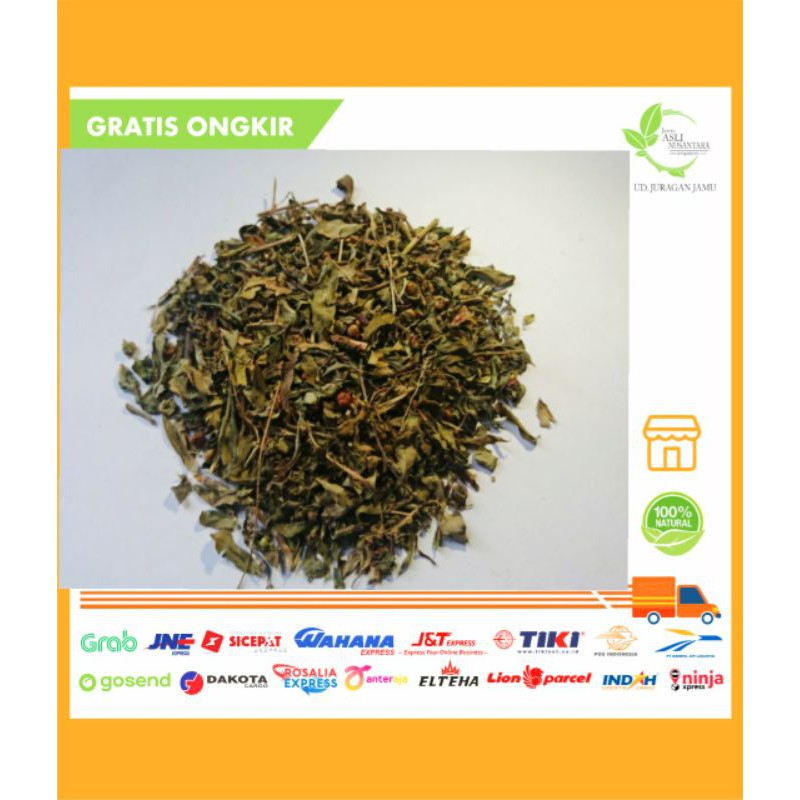 

Daun Meniran kering simplisia utuh Phyllanthus urinaria
