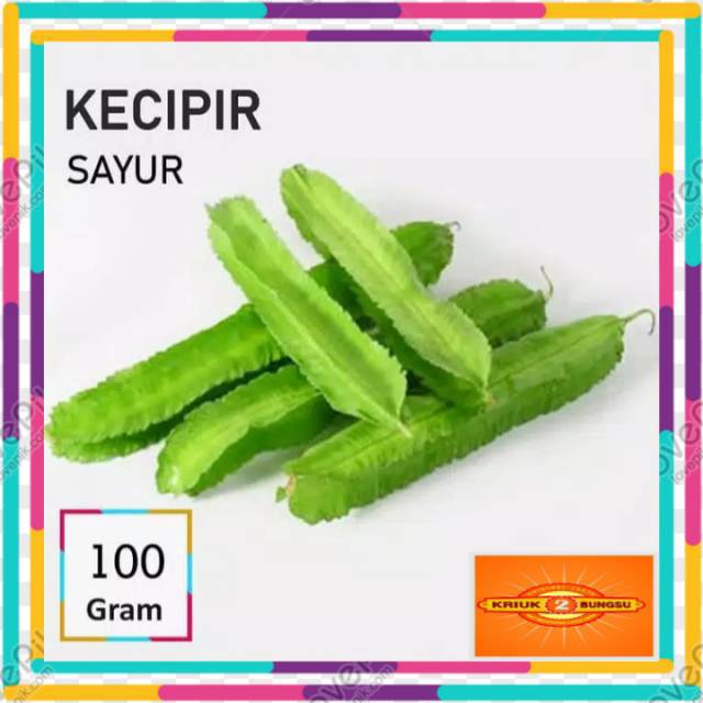 

Kecipir sayur / sayur kecipir
