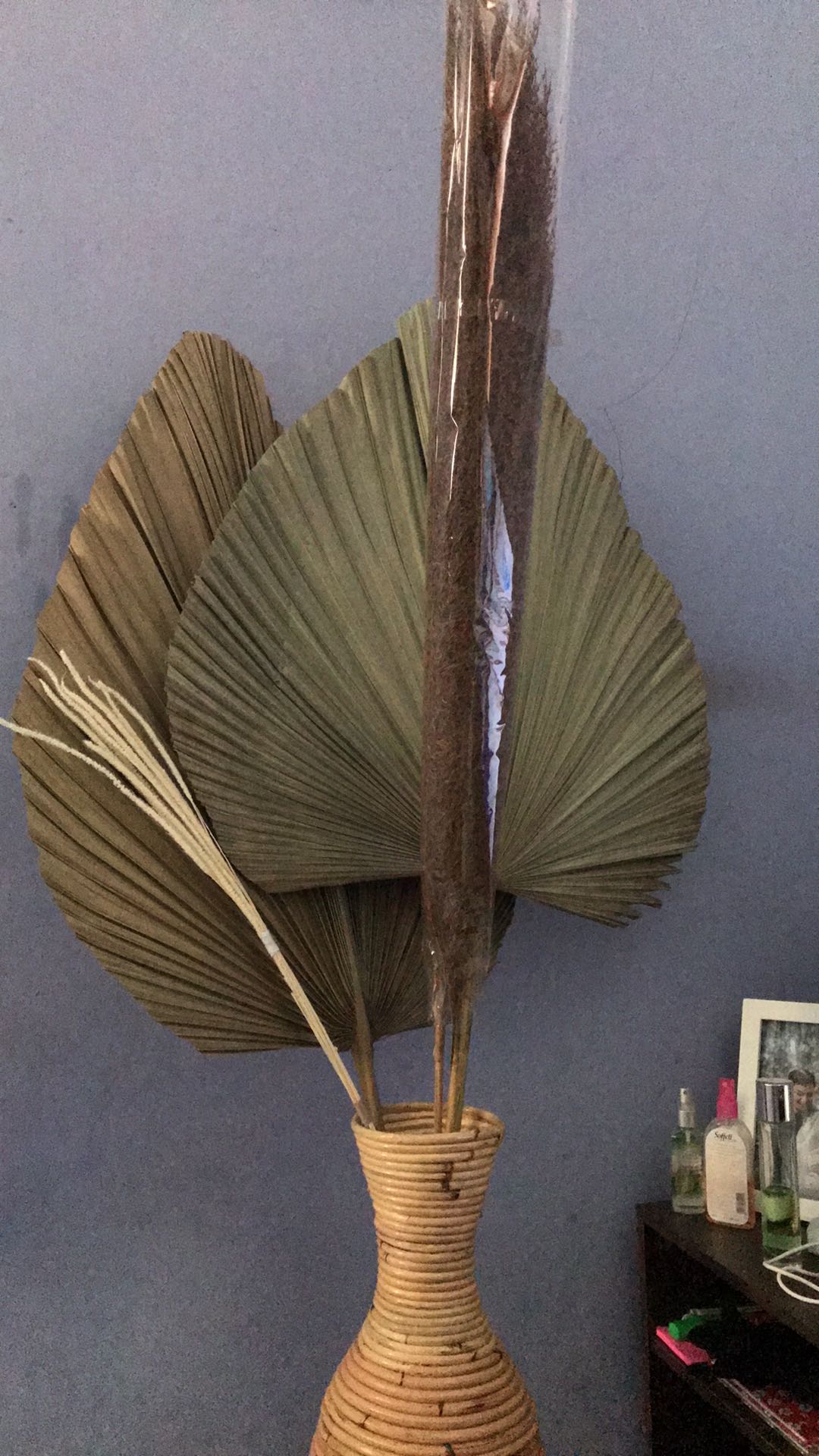 Dried Flower Daun  Palm Large Palem  Kering  Besar 