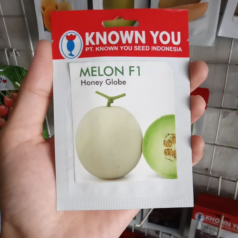 Benih Melon Honey Globe F1 Isi 4biji
