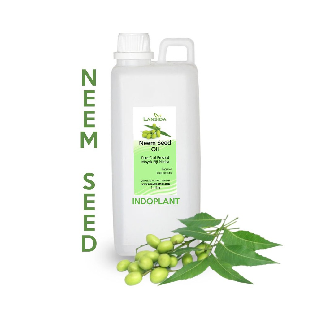 Neem Seed Oil 1 L Minyak Biji Mimba Organik 1 Liter 100% Murni