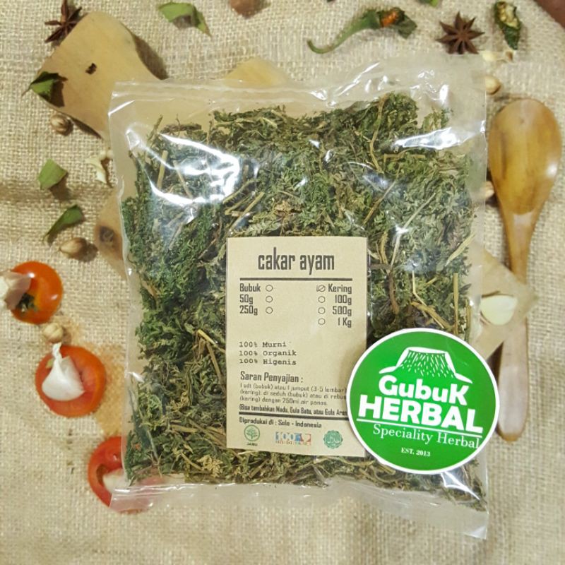 

CAKAR AYAM KERING 500 GRAM - Selaginella doederleinii - MURNI - JSR - REMPAH - PREMIUM QUALITY