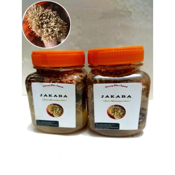 jakaba / jamur jakaba