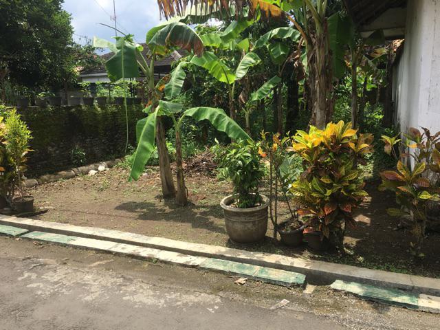 Heat - Alas Panci Tahan Panas, Gabus