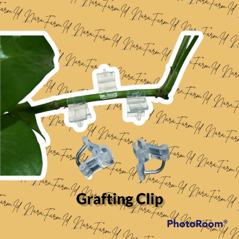 GRAFTING CLIP CANGKOK TANAMAN