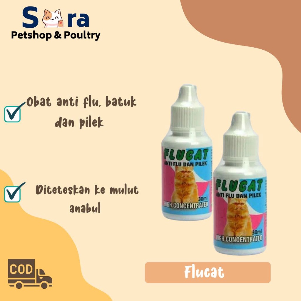 FLUCAT OBAT FLU DAN PILEK KUCING / OBAT FLU KUCING / OBAT PILEK KUCING / OBAT BERSIN KUCING