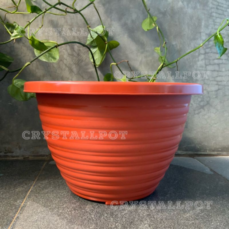 Pot bunga tanaman tawon merah bata kuping 40cm - BEE 402