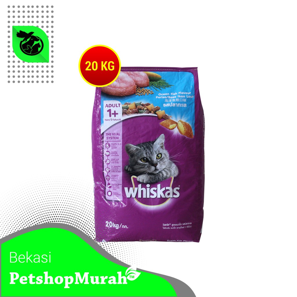 Makanan Kucing Dewasa Murah Cat Food Whiskas 20 Kg Ocean Fish