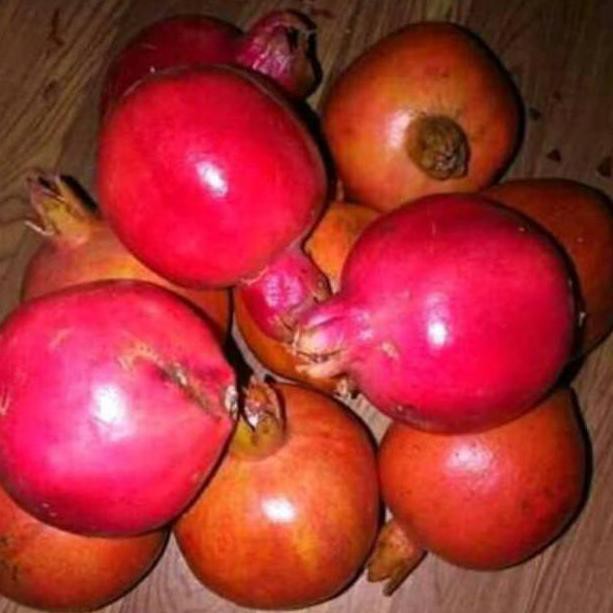 

MacAm2z, Buah delima merah spanyol ukuran mini 1 kgCode.J.1.I.0.0.3