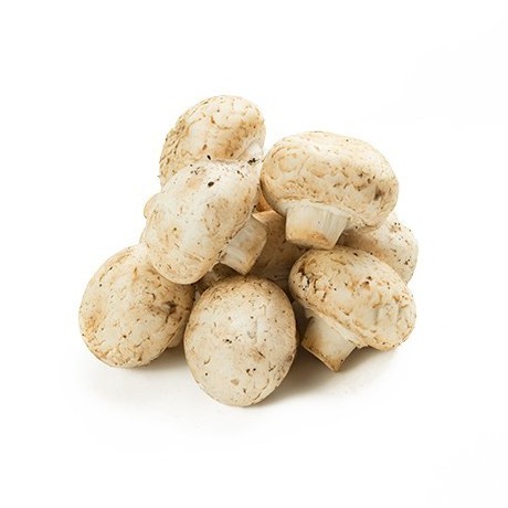 

Jamur Champignon Mushroom 250 gram