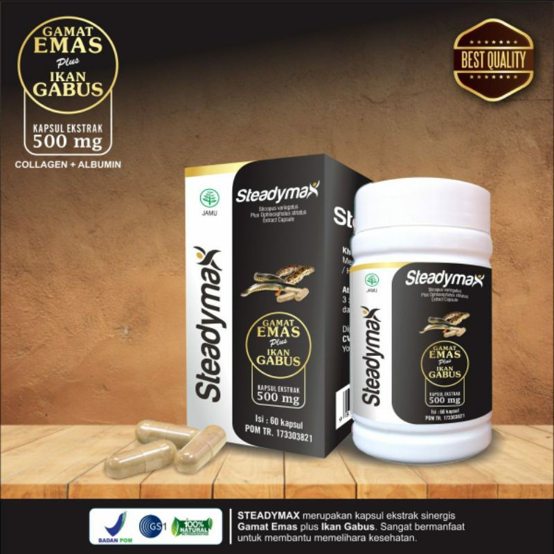 Kapsul steadymax gamat emas ikan gabus
