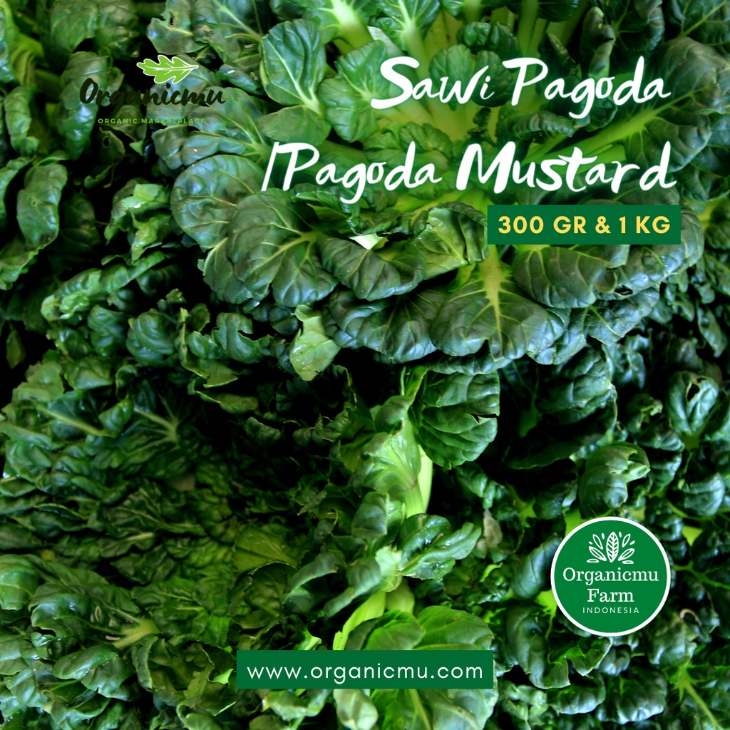 

Organicmu - Sawi Pagoda 1 kg