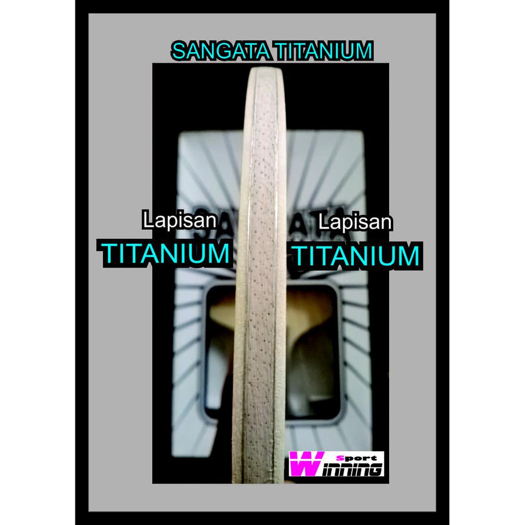 Sangata Titanium / Bet Tenis Meja / Bet Pingpong Terbaik