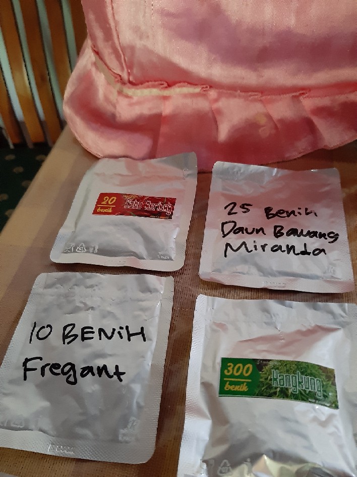 5 Biji Benih Paprika Merah