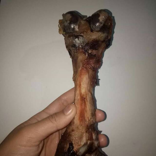 

Pork bone