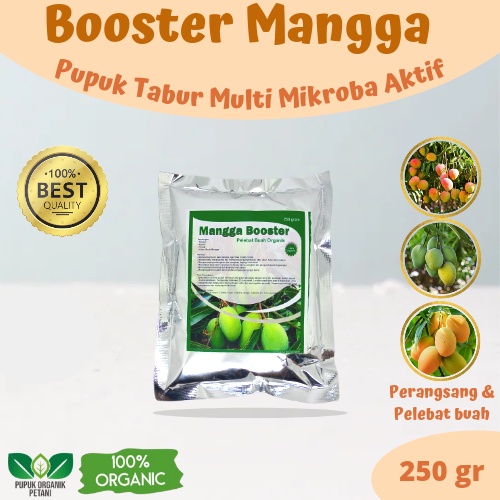 Pupuk Mangga Booster Organik Perangsang Pemicu Buah Serbuk Terbaik Ampuh Agar Cepat Berbuah Lebat An
