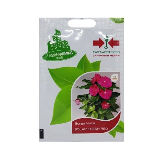 Benih Bibit Vinca Solar Fresh Red 10 Biji Bunga Tapak Dara Panah Merah