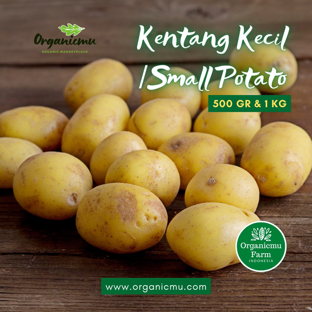 

Organicmu - Kentang Kecil 1 kg