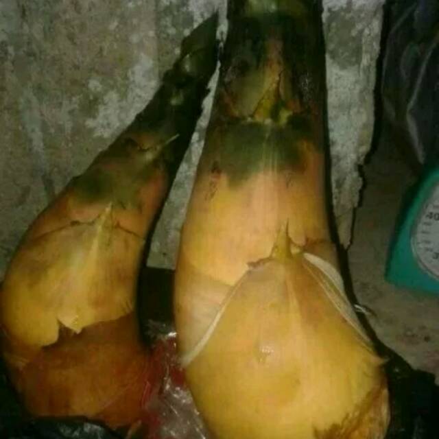 REBUNG BAMBU KUNING OBAT HERBAL TOGA PERKILOGRAM