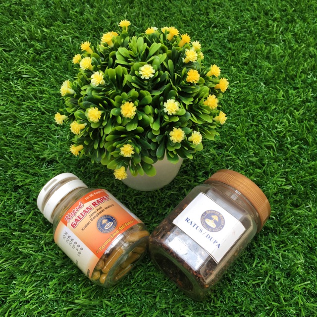 

paketan kemanten baru